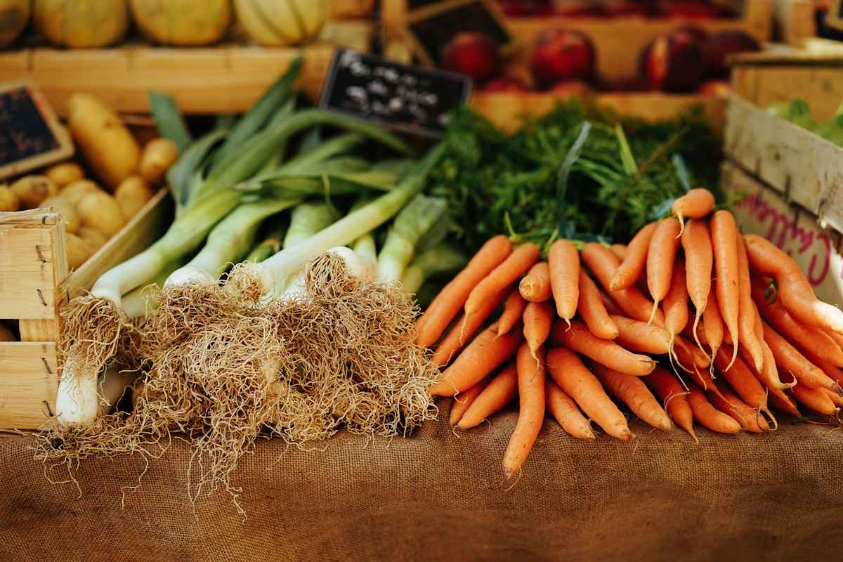 Preparing wholesome meals with fresh ingredients
